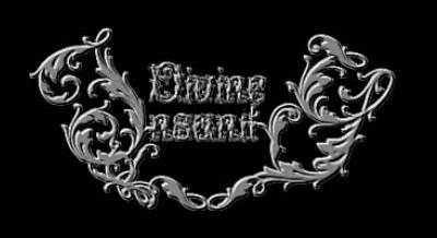 logo Divine Insanity (USA)